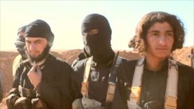 EEUU vuelve a usar a Daesh para desestabilizar Siria