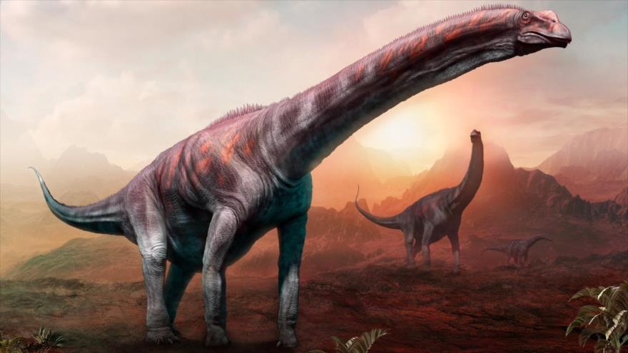 Impresión ilustrativa de un Argentinosaurus.