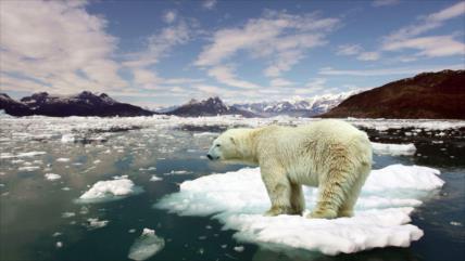 Alarmante: El deshielo global aumenta un 65 % en 23 años 