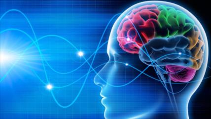 Científicos logran reactivar cerebros de pacienes crónicos en coma