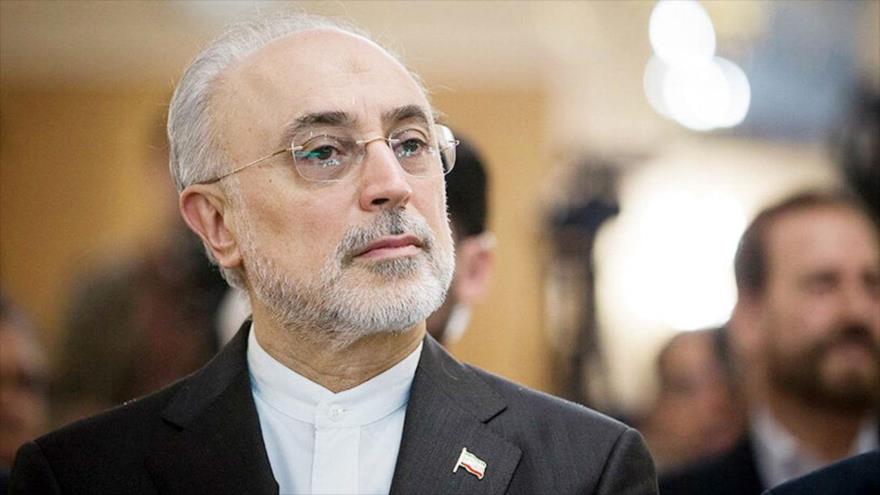 El presidente de la Organización de Energía Atómica de Irán (OEAI), Ali Akbar Salehi.