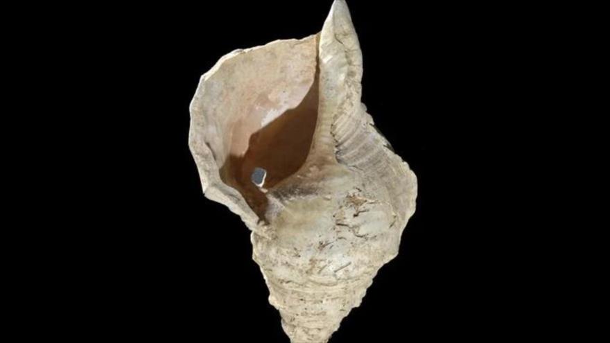 Un cuerno de caracol emite su primer sonido después de 17 000 años