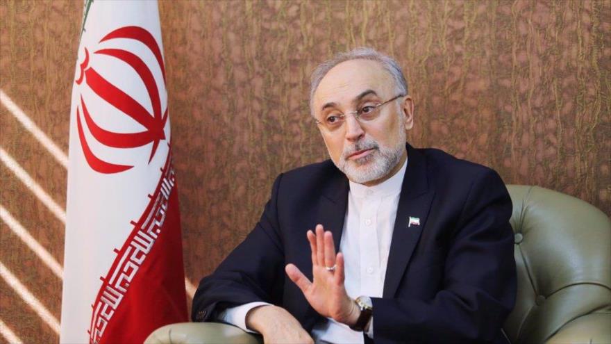 El jefe de la Organización de Energía Atómica de Irán (OEAI), Ali Akbar Salehi. (Foto: Mehrnews)