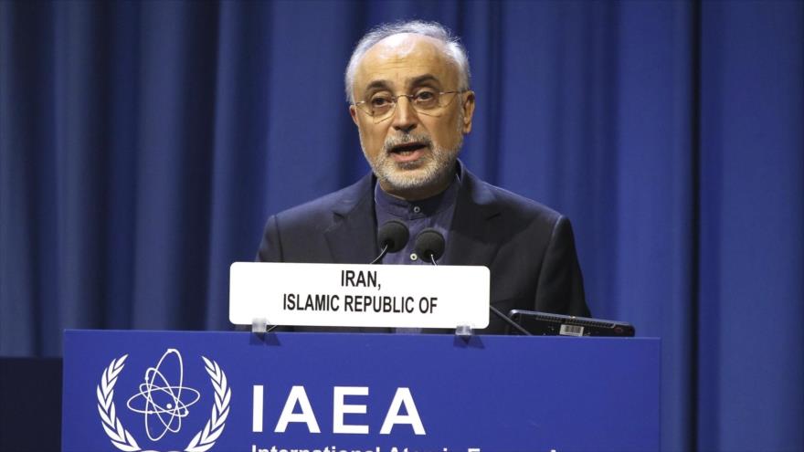 Ali Akbar Salehi, presidente de la Organización de Energía Atómica de Irán (OEAI).
