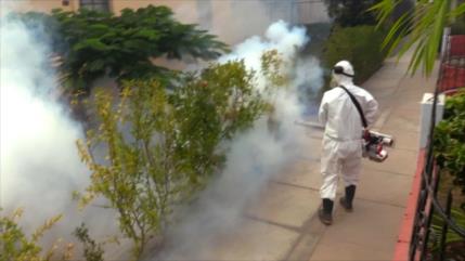 Nueva alerta epidemiológica: Aumentan casos de Dengue en Perú