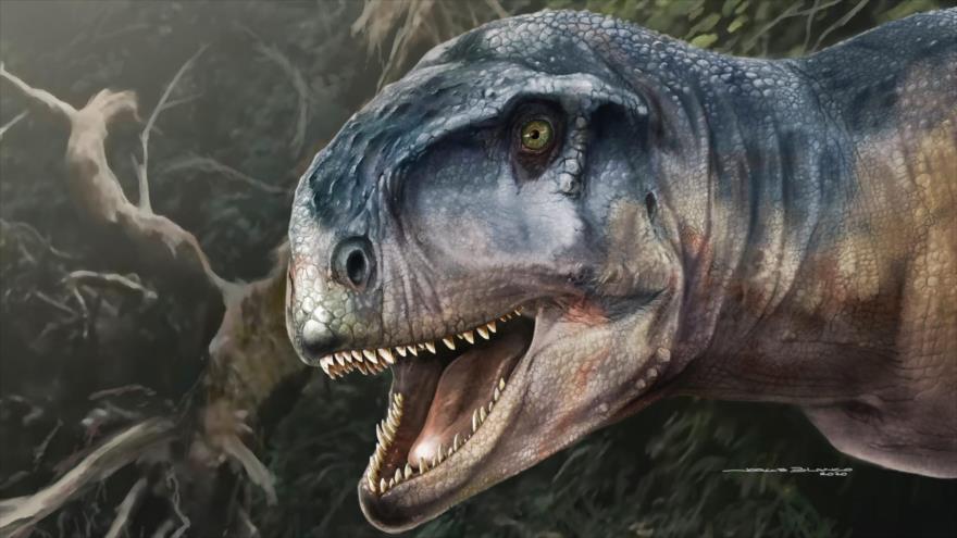 Impresión artística del dinosaurio carívoro llamado Llukalkan, hecha por Jorge Blanco.