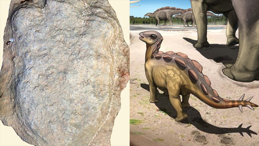 Huellas de un dinosaurio de hace 130 millones de años, descubiertas en el condado de Tongjiang, en el suroeste de China.