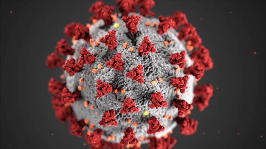 Estudio: Alta temperatura mata coronavirus en menos de un segundo | HISPANTV