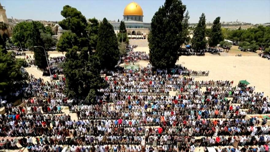 Países islámicos expresan su apoyo a la causa palestina 