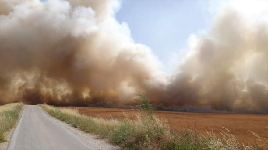 Globos de fuego de los grupos de resistencia palestinos produjeron incendios en los asentamientos sionistas.