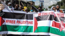 El mundo se solidariza con Palestina ante los crímenes de Israel