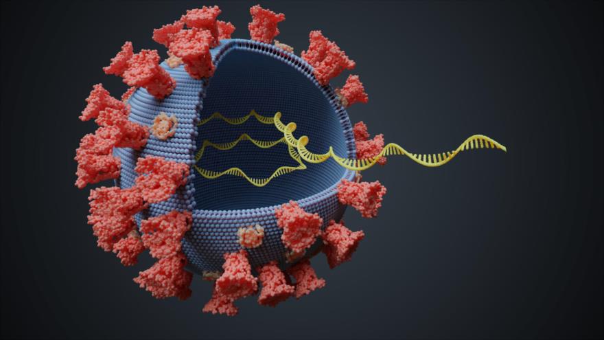Imagen ilustrativa de una célula del nuevo coronavirus, causante de la COVID-19.