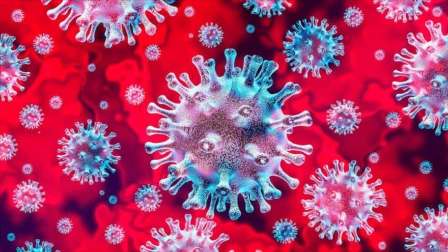 Representación del coronavirus, causante de la COVID-19.