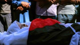 Eurodiputado exige cortar lazos con Israel por genocidio palestino