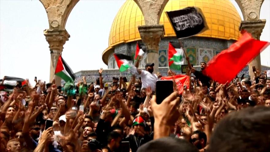 Continúa levantamiento palestino tras victoria en Franja de Gaza | HISPANTV