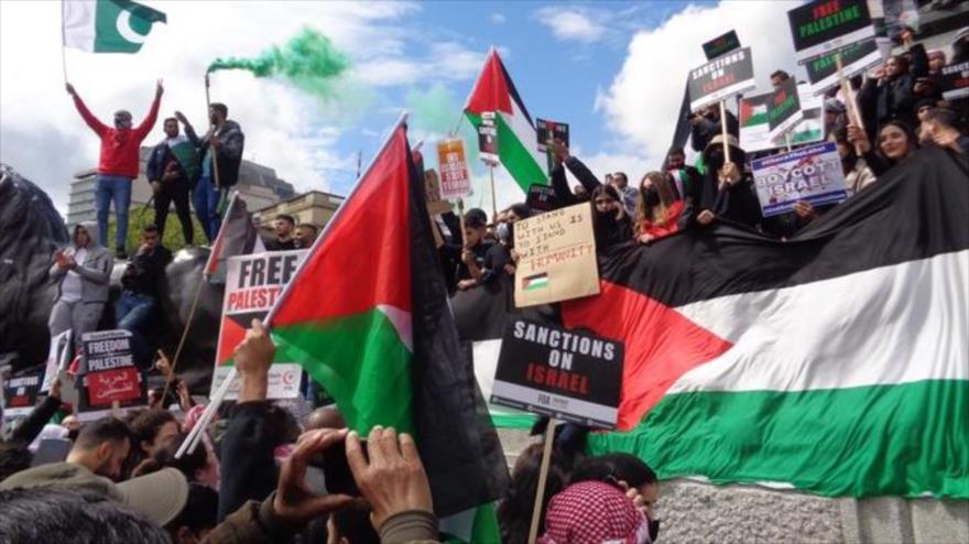 Miles marchan en el Reino Unido y EEUU en solidaridad con Palestina | HISPANTV