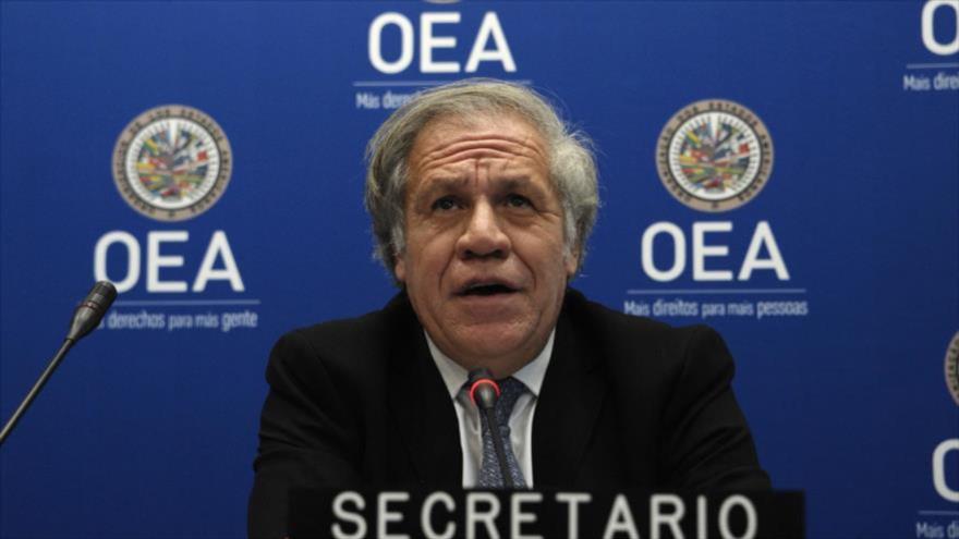El secretario general de la OEA, Luis Almagro, en una conferencia de prensa en la sede del ente en Washington, 19 de diciembre de 2019. (Foto: AFP)