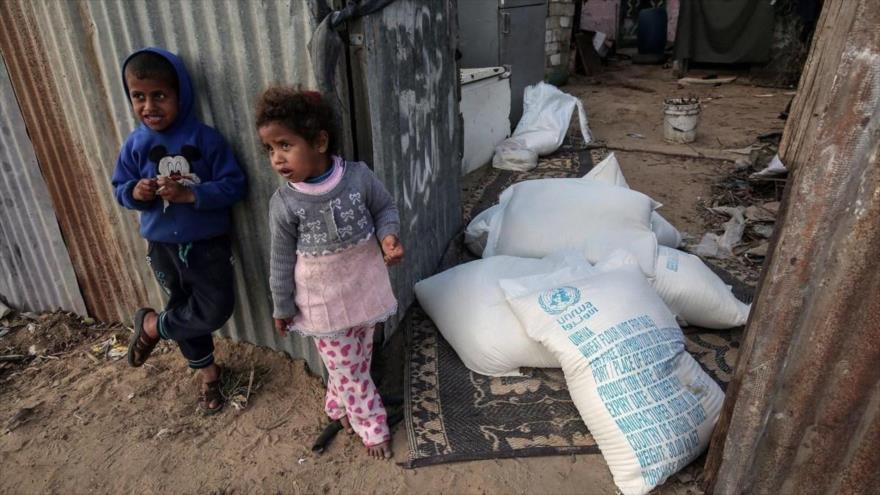 Niños palestinos junto a bolsas de ayuda alimentaria proporcionada por la UNRWA en la Franja de Gaza, 24 de enero de 2018. (Foto: AFP)