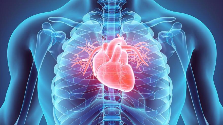Un nuevo estudio sugiere que cuanto más saludable tengamos el corazón mejor podemos hacer frente a la enfermedad del coronavirus.
