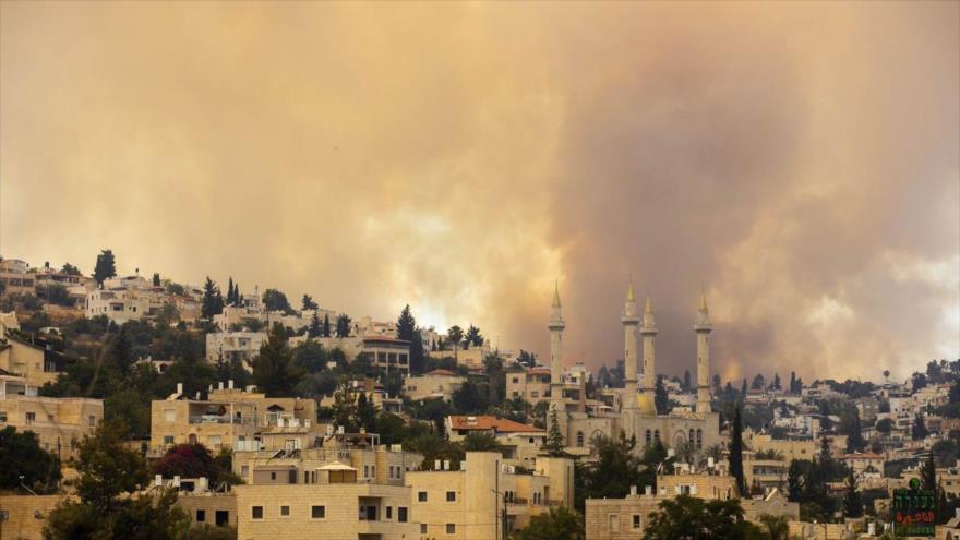 Una columna de humo se eleva tras un incendio forestal detrás de la aldea de Abu Ghosh cerca de Al-Quds, 9 de junio de 2021. (Foto: AP)