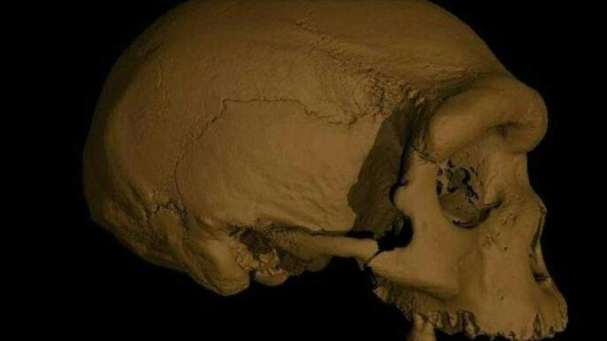 Descubren cráneo de “hombre dragón” de más de 140 000 años en China