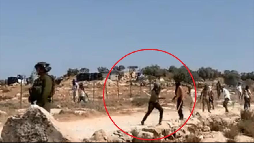 Colonos atacan con piedras a palestinos frente a soldados israelíes