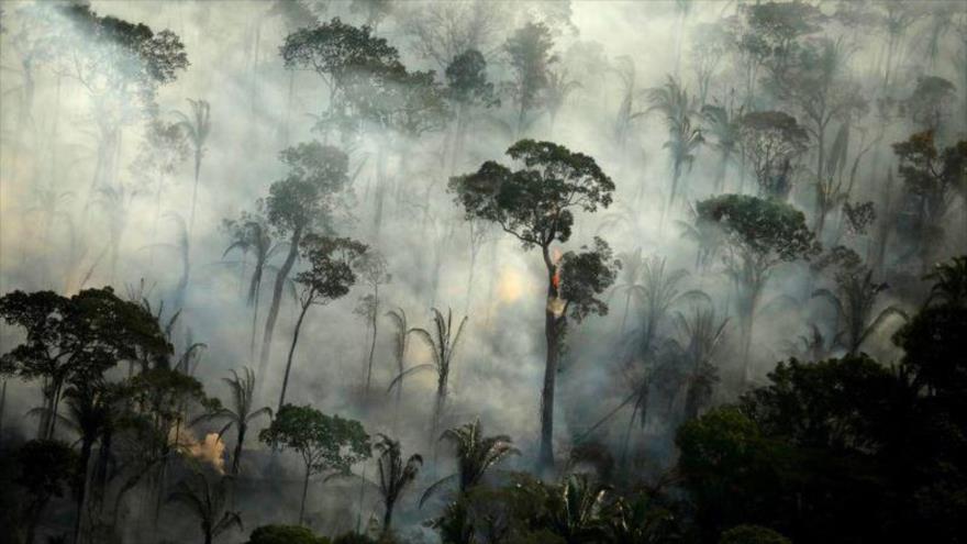 Columna de humo se eleva debido a un incendio en la Amazonía brasileña, 10 de septiembre de 2019. (Foto: Reuters)