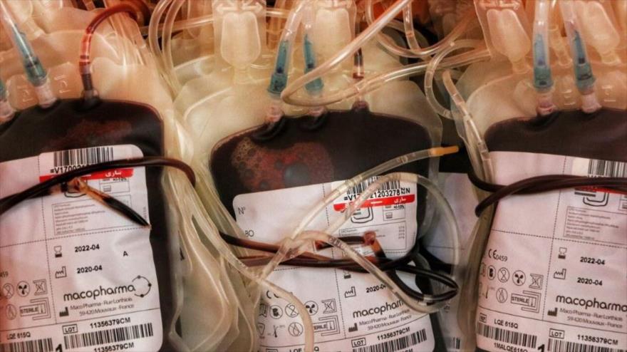 Bolsas de sangre antes del proceso de irradiación. 