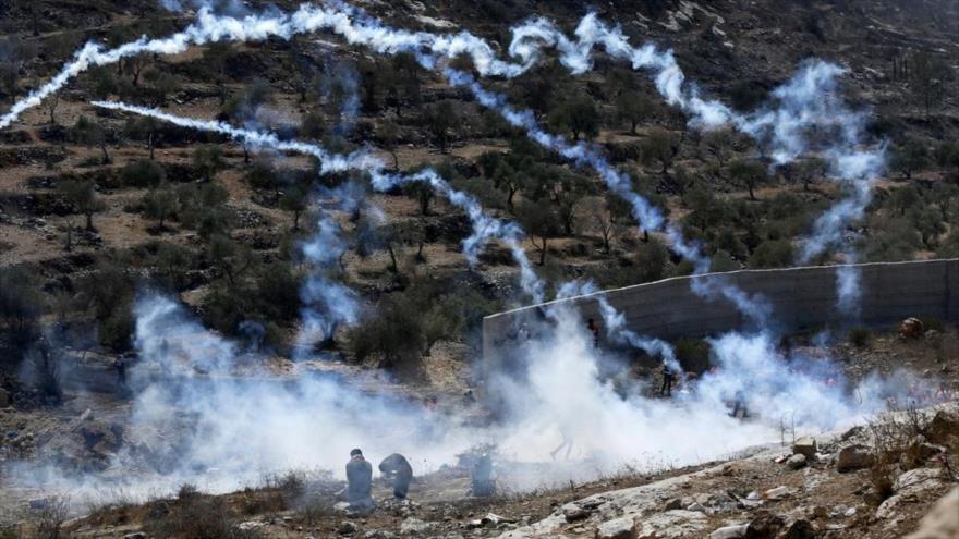 Represión israelí deja 117 heridos y 7 detenidos en Cisjordania | HISPANTV