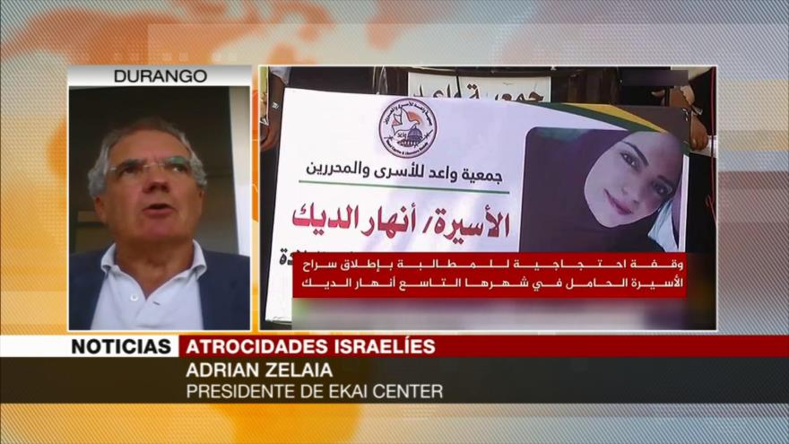 Zelaia: Imagen de Israel, cada vez más débil en DDHH