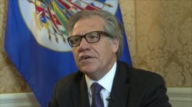 Bolivia vuelve a denunciar papel de OEA en golpe de Estado de 2019