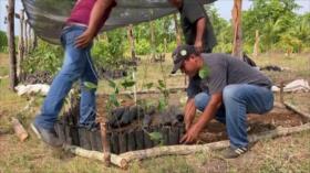 AMLO propone a Biden iniciar política migratoria para el desarrollo