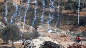 Palestina pide a La Haya acelerar pesquisa sobre crímenes de Israel