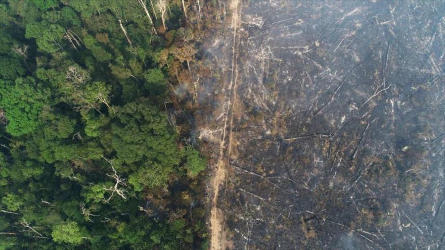 Vista general de Amazonía en el estado de Amazonas, Brasil, 11 de agosto de 2020. (Foto: Reuters)