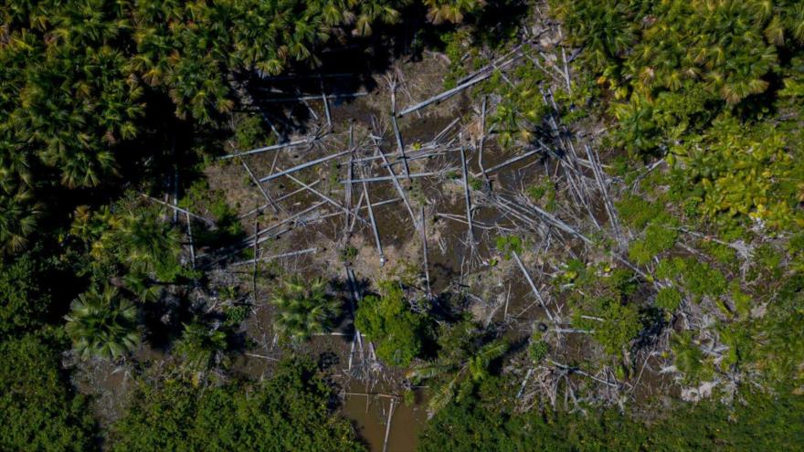 Vista aérea de un área deforestada en el municipio de Melgaco, Estado de Pará, Brasil, 30 de julio de 2020. (Foto: AFP)