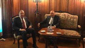 Egipto pide adoptar medidas para preservar la seguridad de Siria