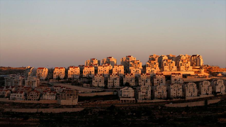 Asentamientos ilegales del régimen de Israel en Efrat, Cisjordania. (Foto: Reuters)