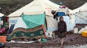 Yemen: ONU solo entiende el lenguaje del dinero y no respeta leyes