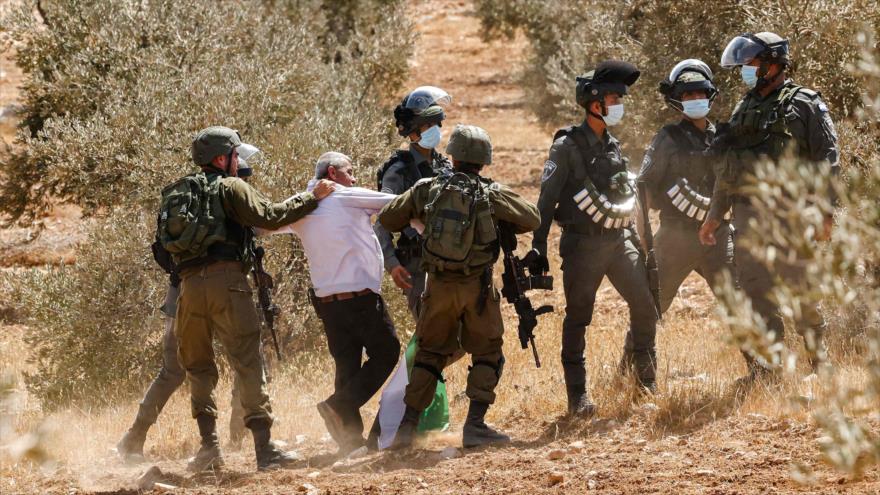 Soldados israelíes detienen a un manifestante palestino en una protesta en ciudad de Al-Jalil (Hebron), Cisjordania, 7 de septiembre de 2021. (Foto: AFP)