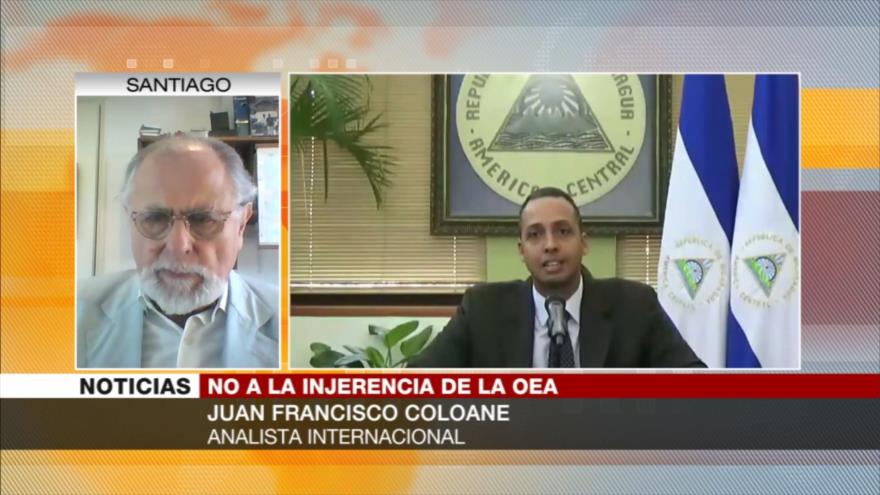 Coloane: OEA interviene en asuntos internos de los países