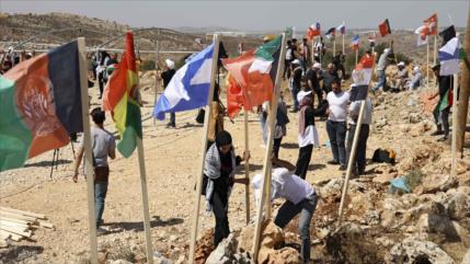Resolución de ONU apoya soberanía de Palestina sobre sus recursos