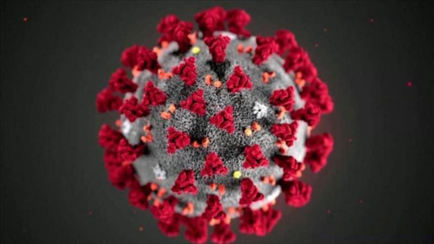 Detectan nueva cepa mutada peligrosa de coronavirus en Sudáfrica | HISPANTV