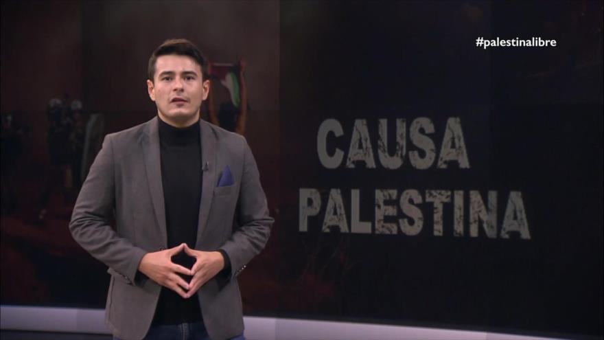 Castigo colectivo | Causa Palestina
