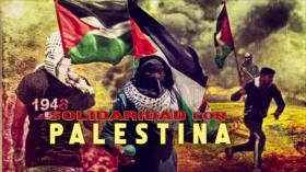 Solidaridad internacional con Palestina | Detrás de la Razón