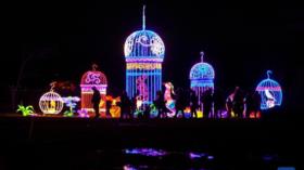 En fotos: Maravilloso espectáculo internacional de luces Seasky 