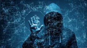 Hackers atacan la página web del instituto de seguros de Israel