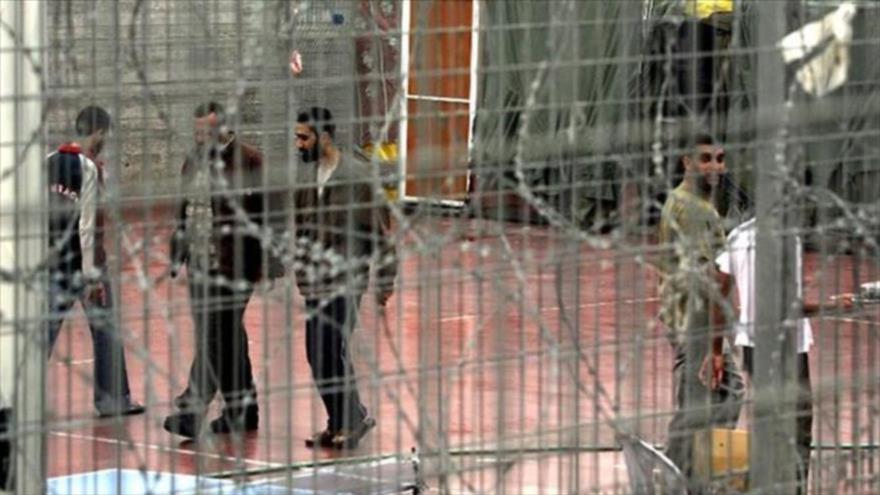 Presos palestinos en la prisión israelí de Megido, en el norte de los territorios ocupados palestinos.