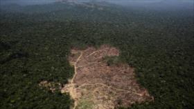 Almeida: Jair Bolsonaro es criminal del punto de vista ambiental