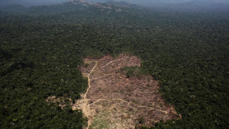Almeida: Jair Bolsonaro es criminal del punto de vista ambiental | HISPANTV