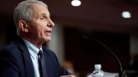 Golpe al Gobierno de EEUU: Fauci “lidera una mafia médica”